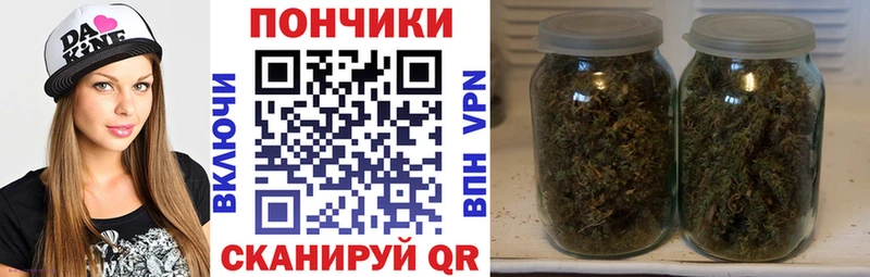 Шишки марихуана Amnesia  купить   Володарск 